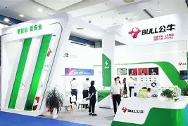 关于TheShy官方宣布败北新规，公牛引发争议！的信息